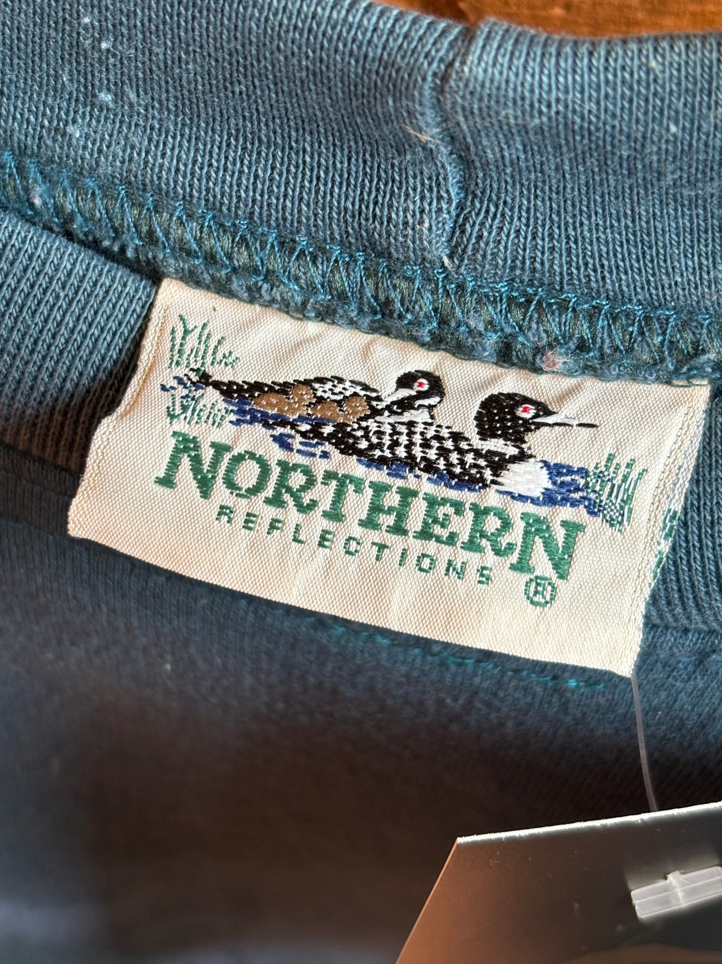 Northern Reflections Teal Winter Scene Graphic Sweatshirt