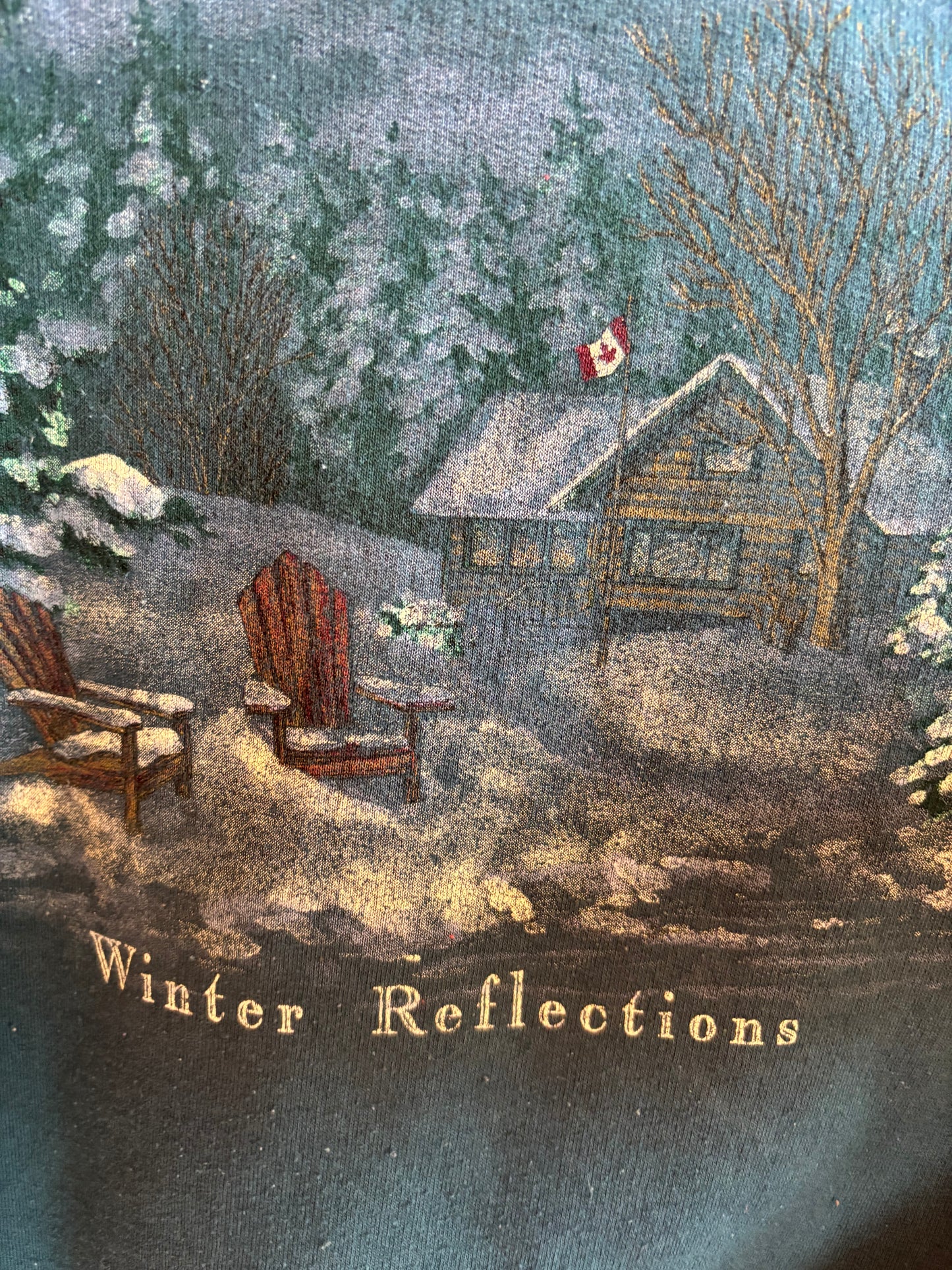 Northern Reflections Teal Winter Scene Graphic Sweatshirt