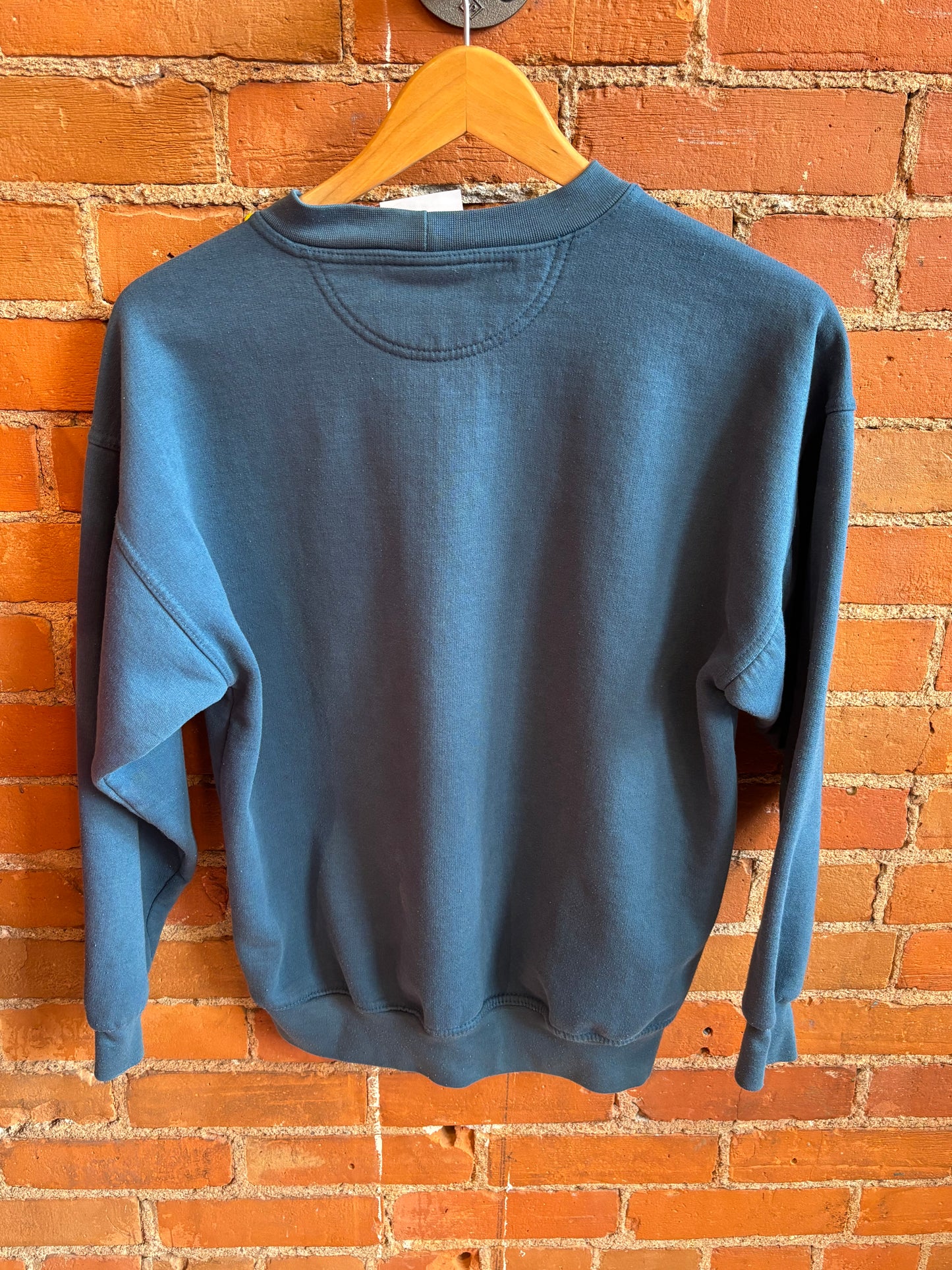 Northern Reflections Teal Winter Scene Graphic Sweatshirt