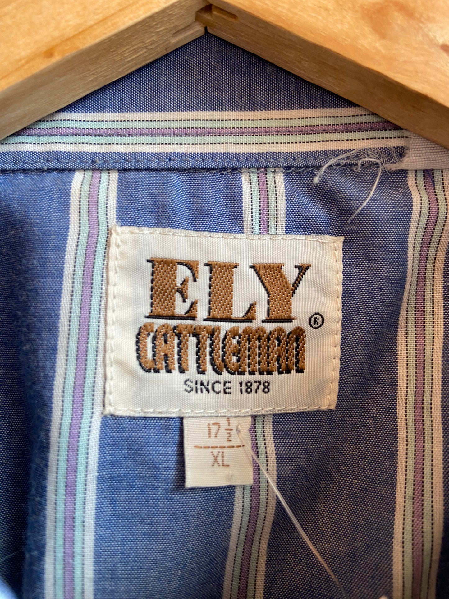 Blue Striped Pearl-Snap Short-Sleeve Western