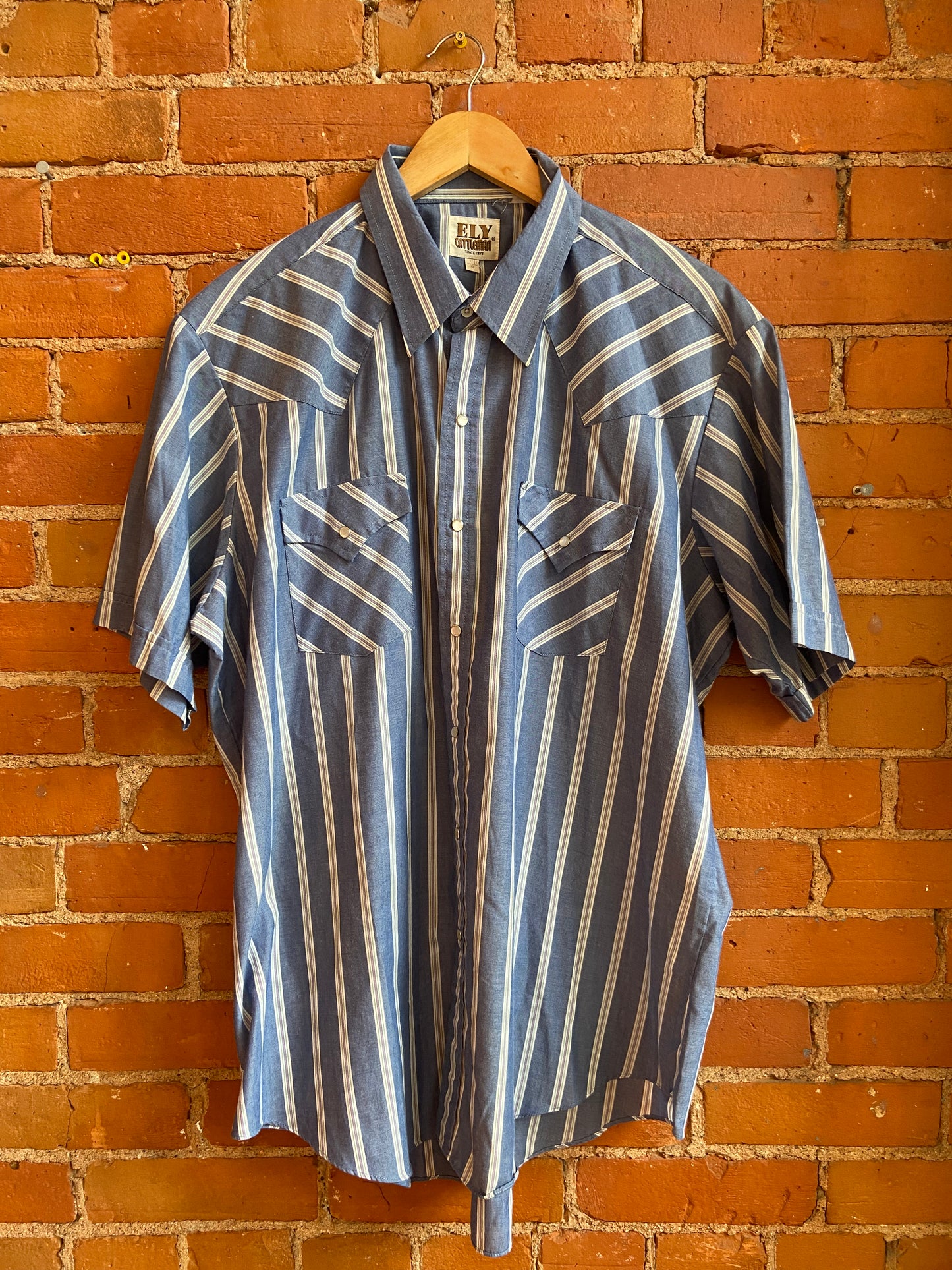 Blue Striped Pearl-Snap Short-Sleeve Western