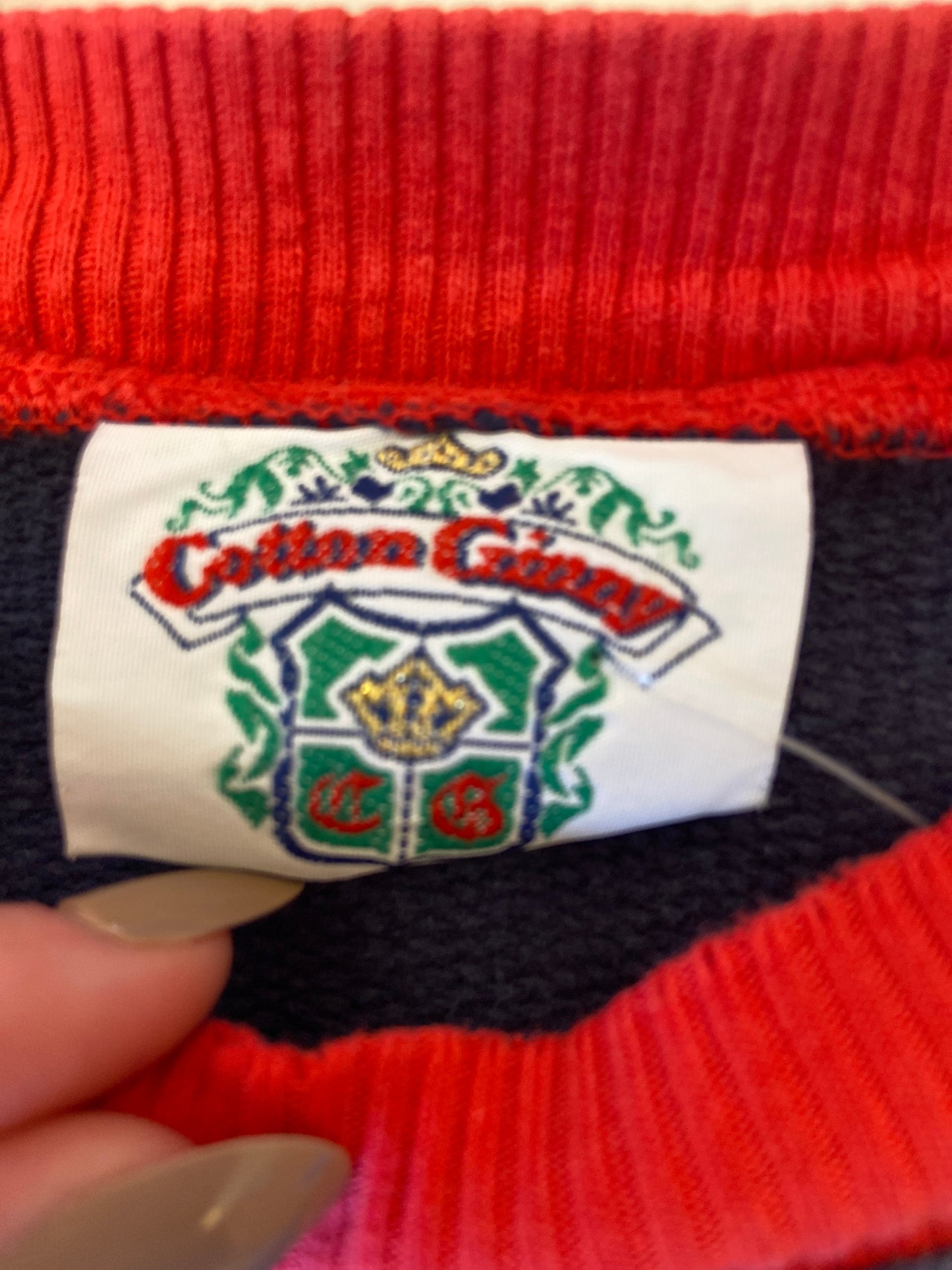 Cotton Ginny Navy & Red Colourblock Crew
