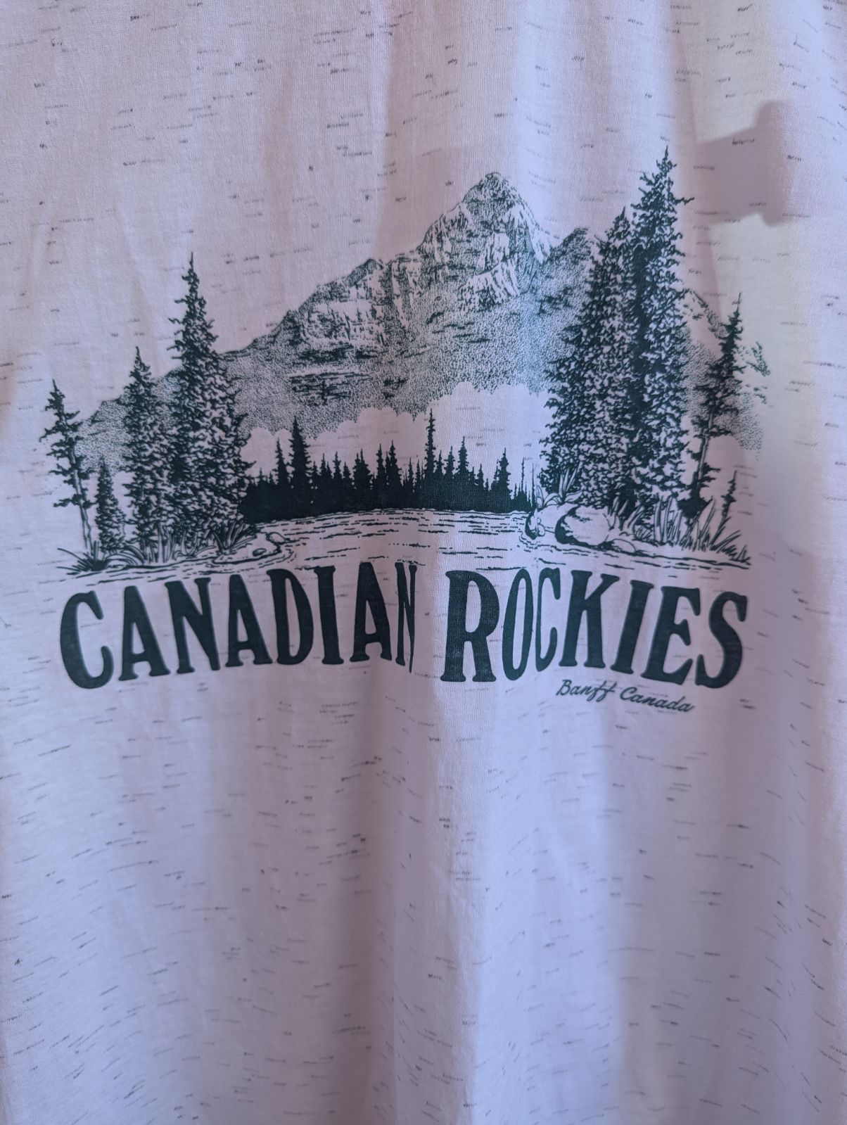 1990s Canadian Rockies Single Stitch T-Shirt