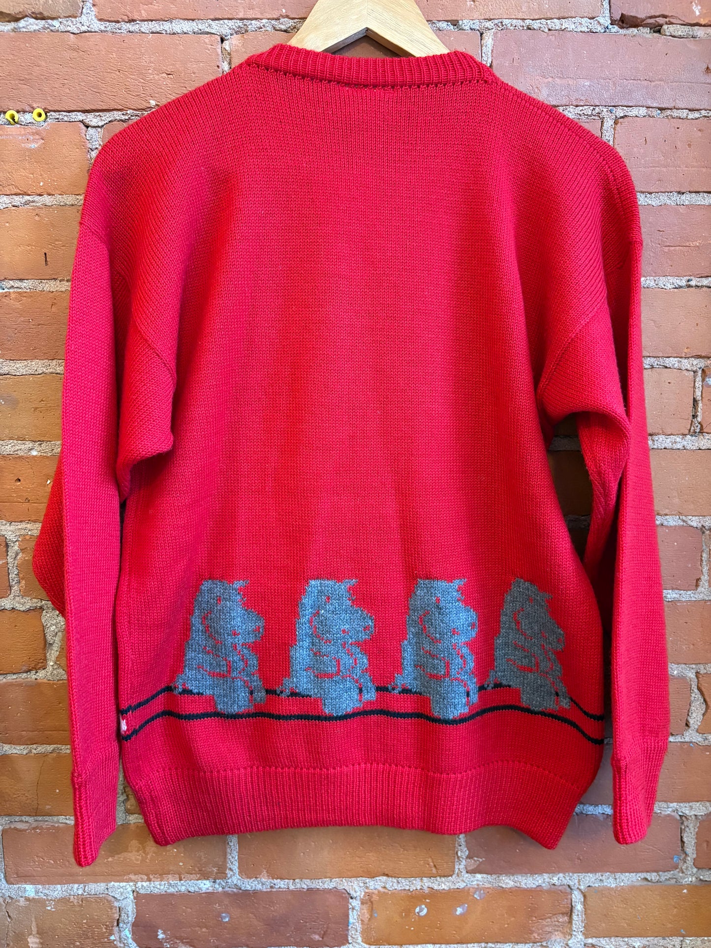 *Red Hippo Ballerina Sweater