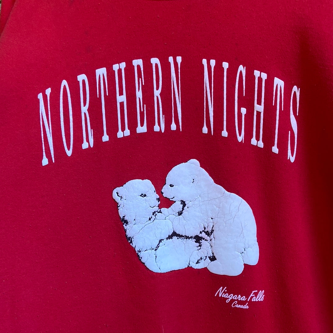 Northern Lights & Polar Bear Graphic Sweatshirt Dress / Night Shirt