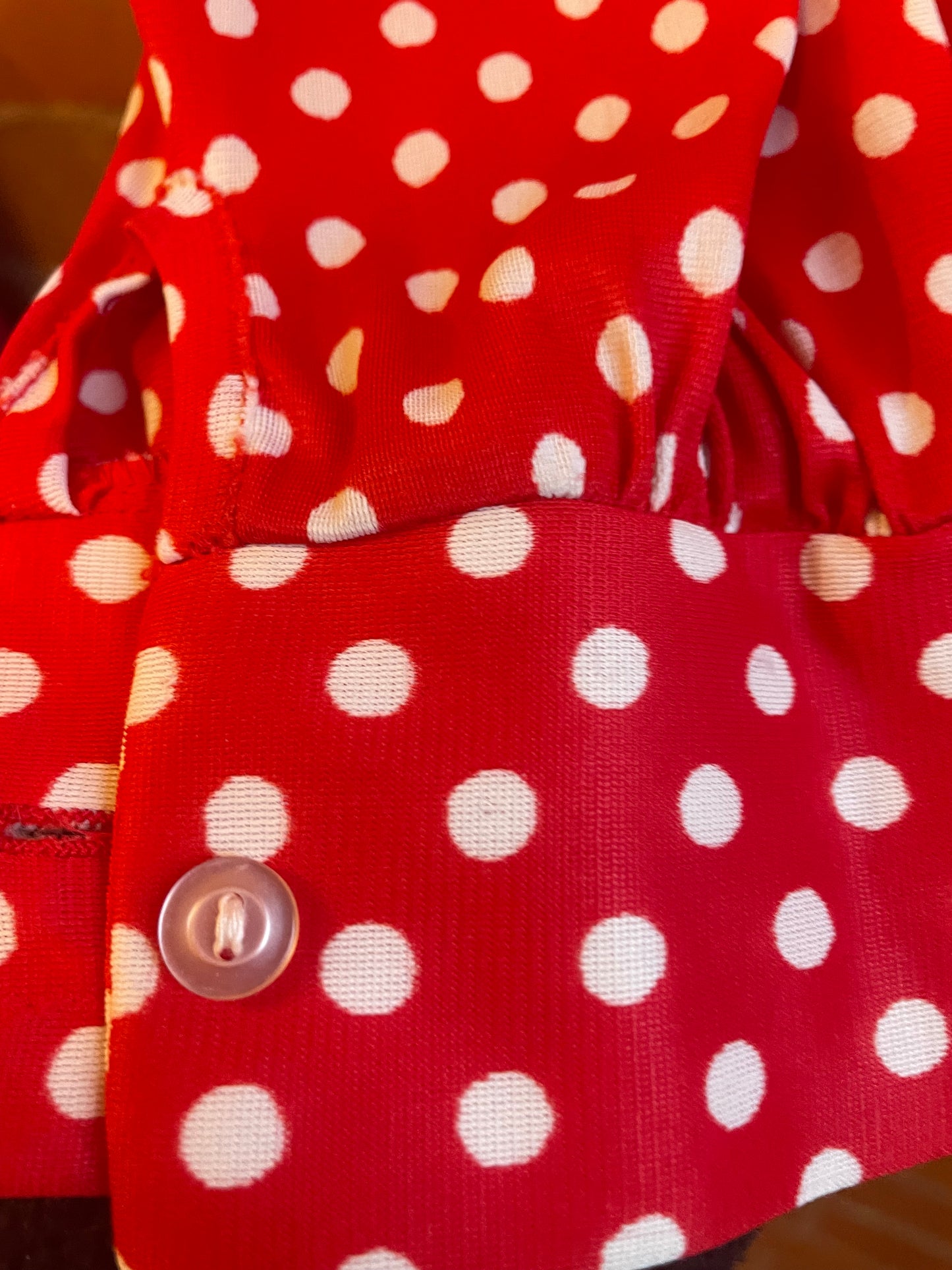 Dorothy Korby Red Polka Dot Blouse