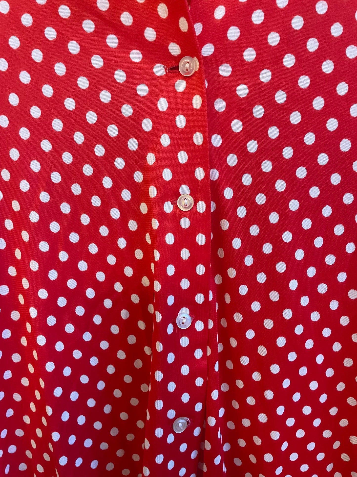 Dorothy Korby Red Polka Dot Blouse