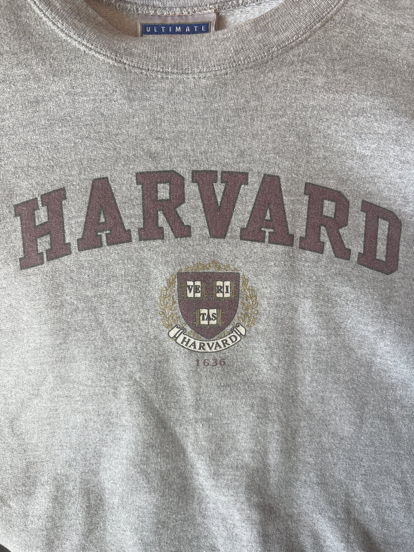 Harvard Graphic Crewneck Sweatshirt