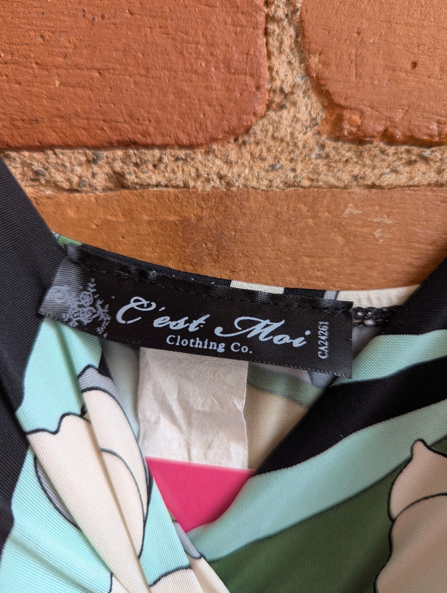 Y2K C'est Moi Clothing Co. Groovy Floral Print Mini Dress