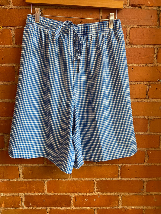 Blue Gingham Elasticized Waist Shorts