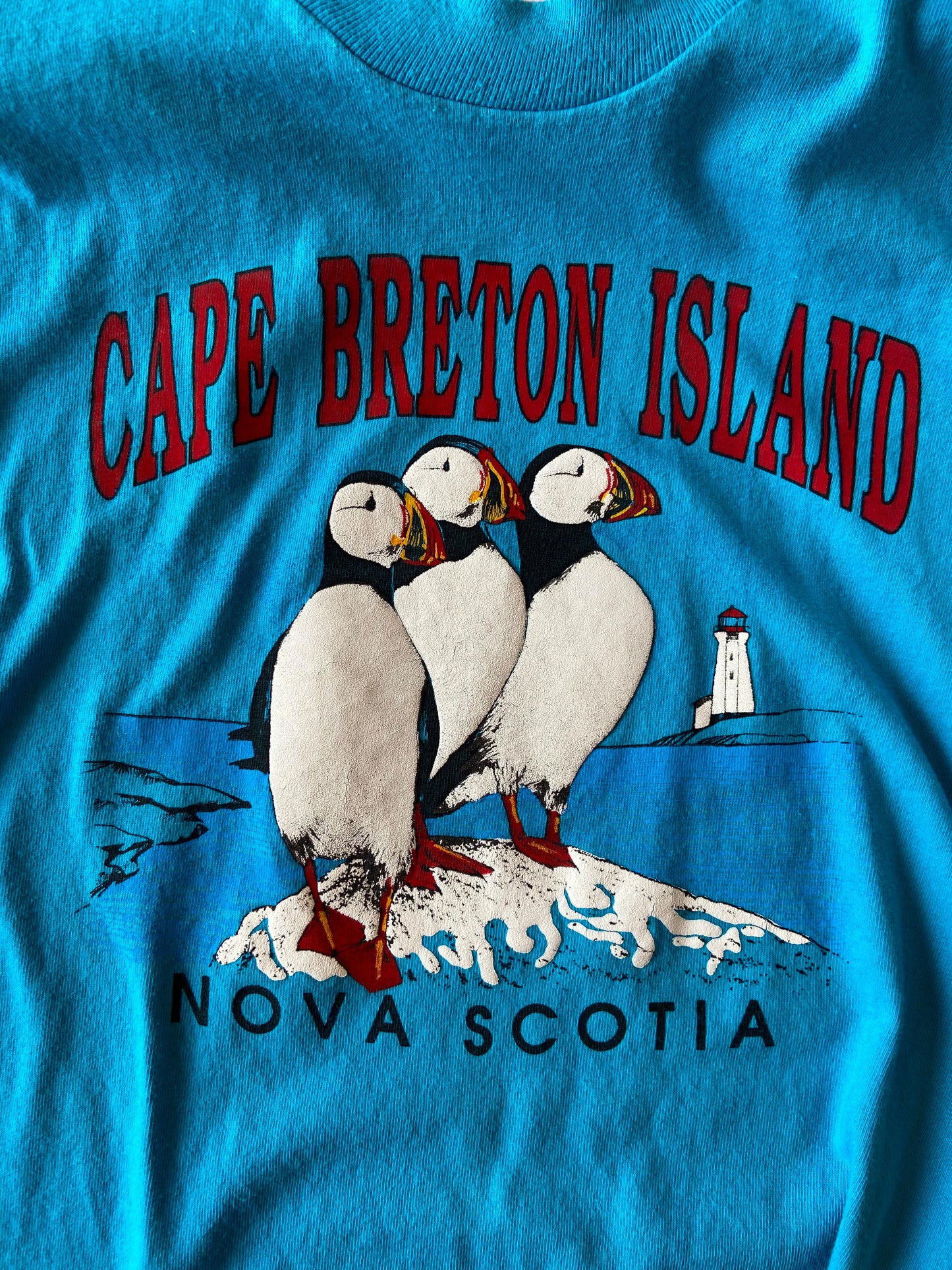 Blue Cape Breton Single Stitch T-Shirt